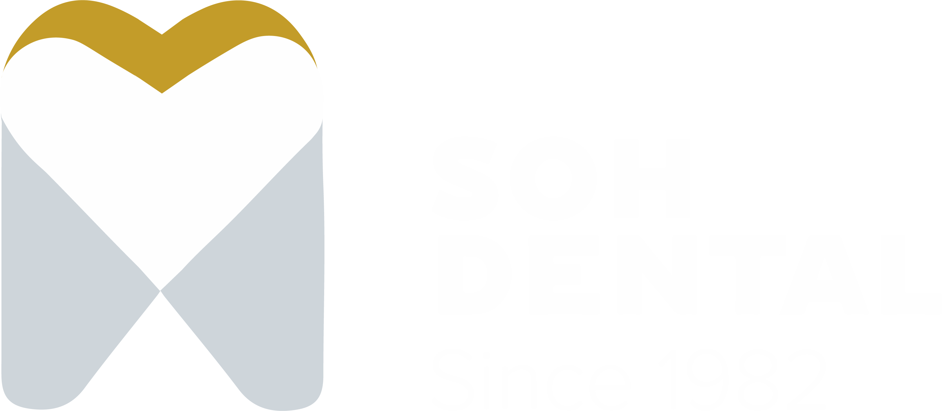 Soh Dental